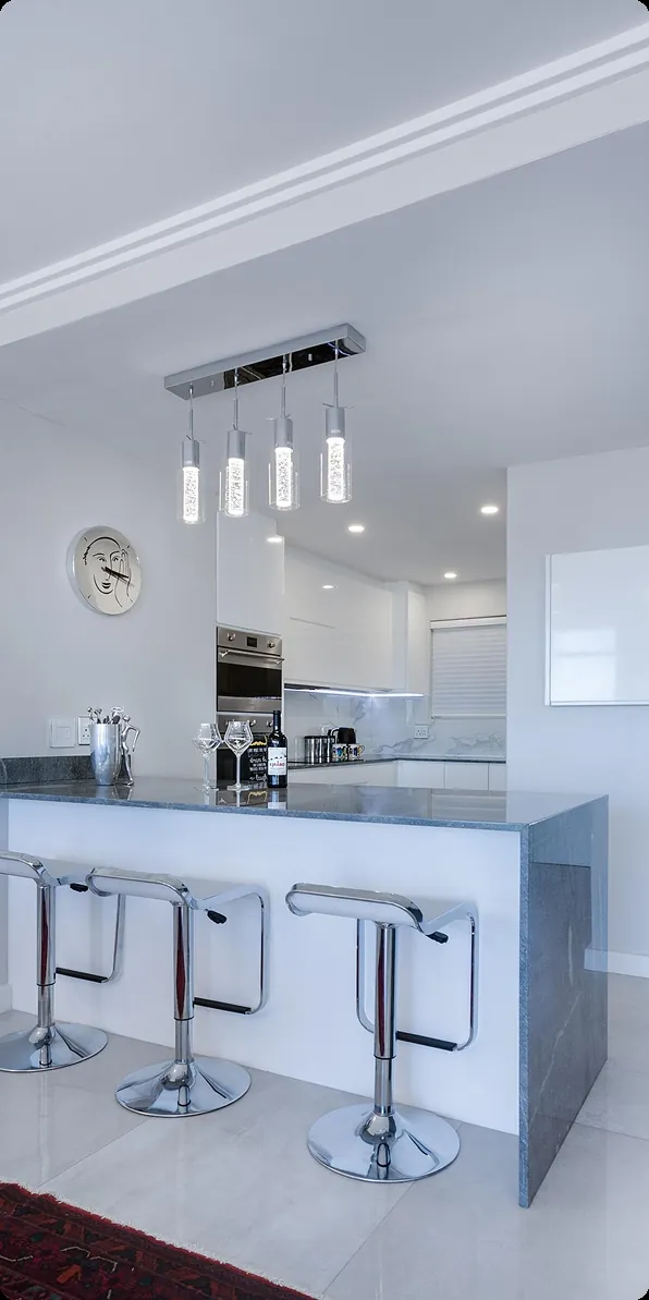 Modern kitchen renovation